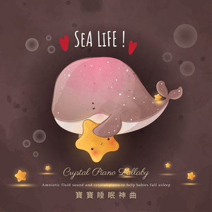 美女前插式动态视频
