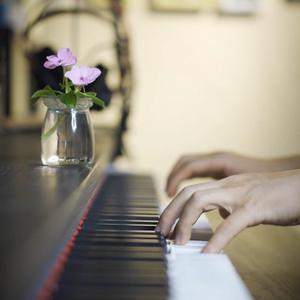 美女前插式动态视频
